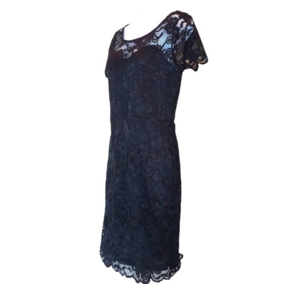🏖️ NWT Cocktail Black Lace Bodycon Dress  Size Medium - Picture 2 of 8